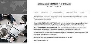 Management Strategy Performance Gerd Giesen
